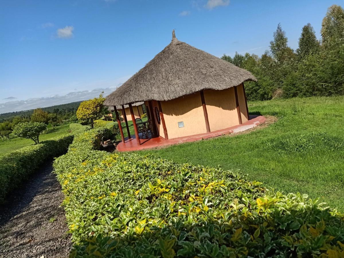 The Great Circle Lodge Nanyuki Extérieur photo