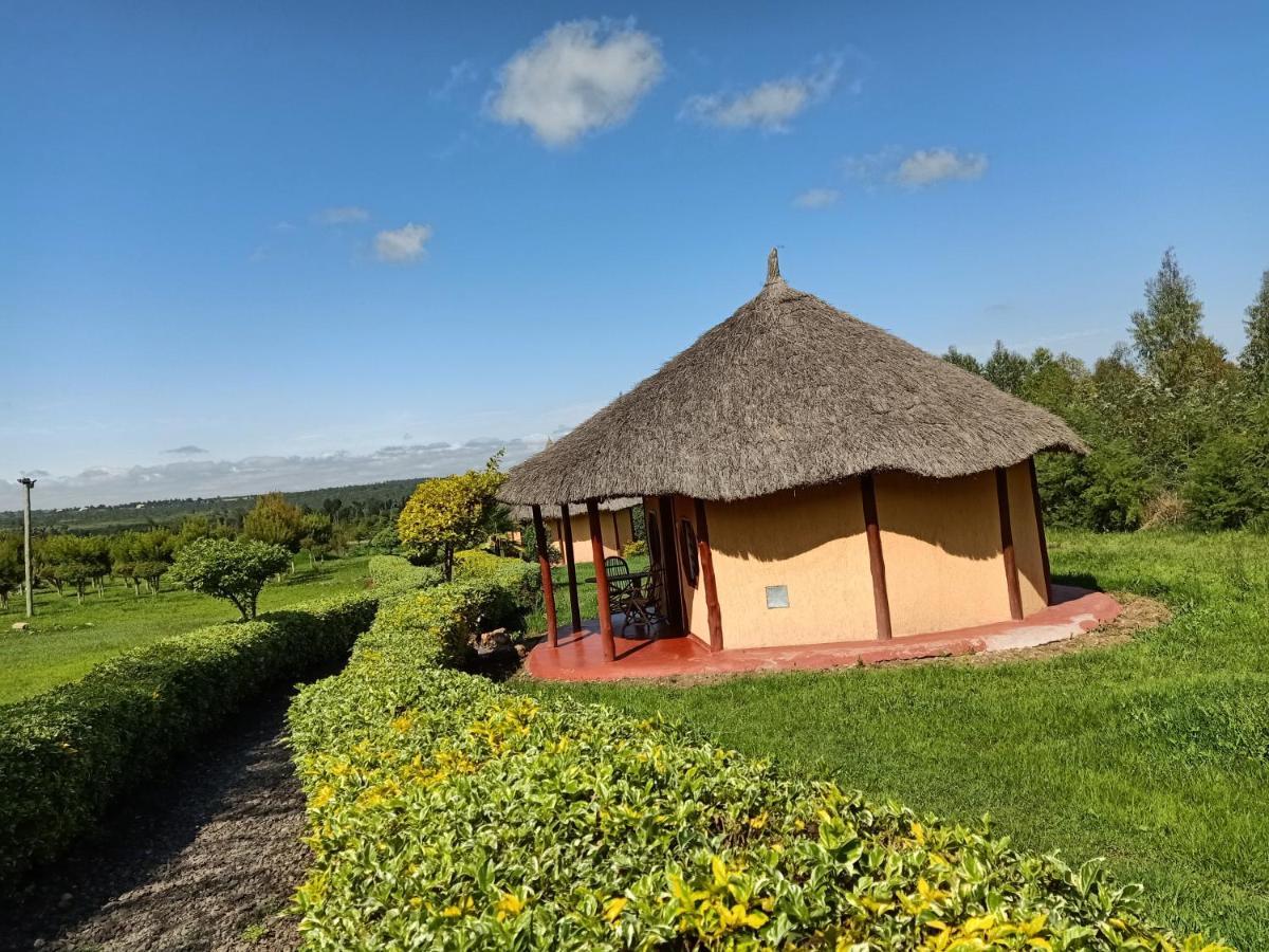 The Great Circle Lodge Nanyuki Extérieur photo