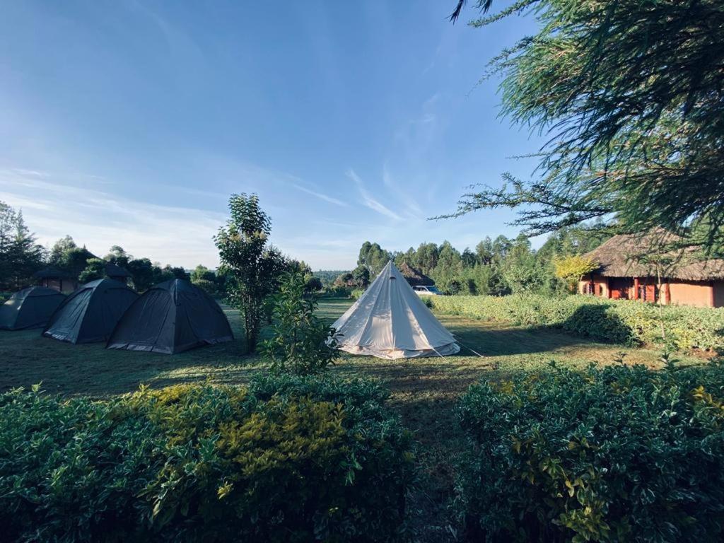 The Great Circle Lodge Nanyuki Extérieur photo